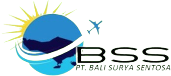 BSS Cargo